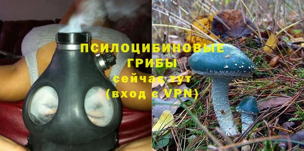 мяу мяу мука Краснотурьинск