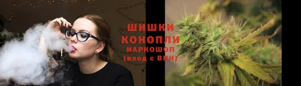 бошки Губаха
