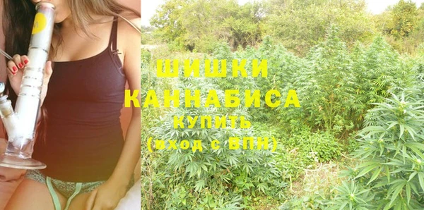 бошки Губаха