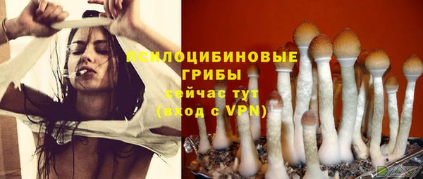 MDMA Грязи